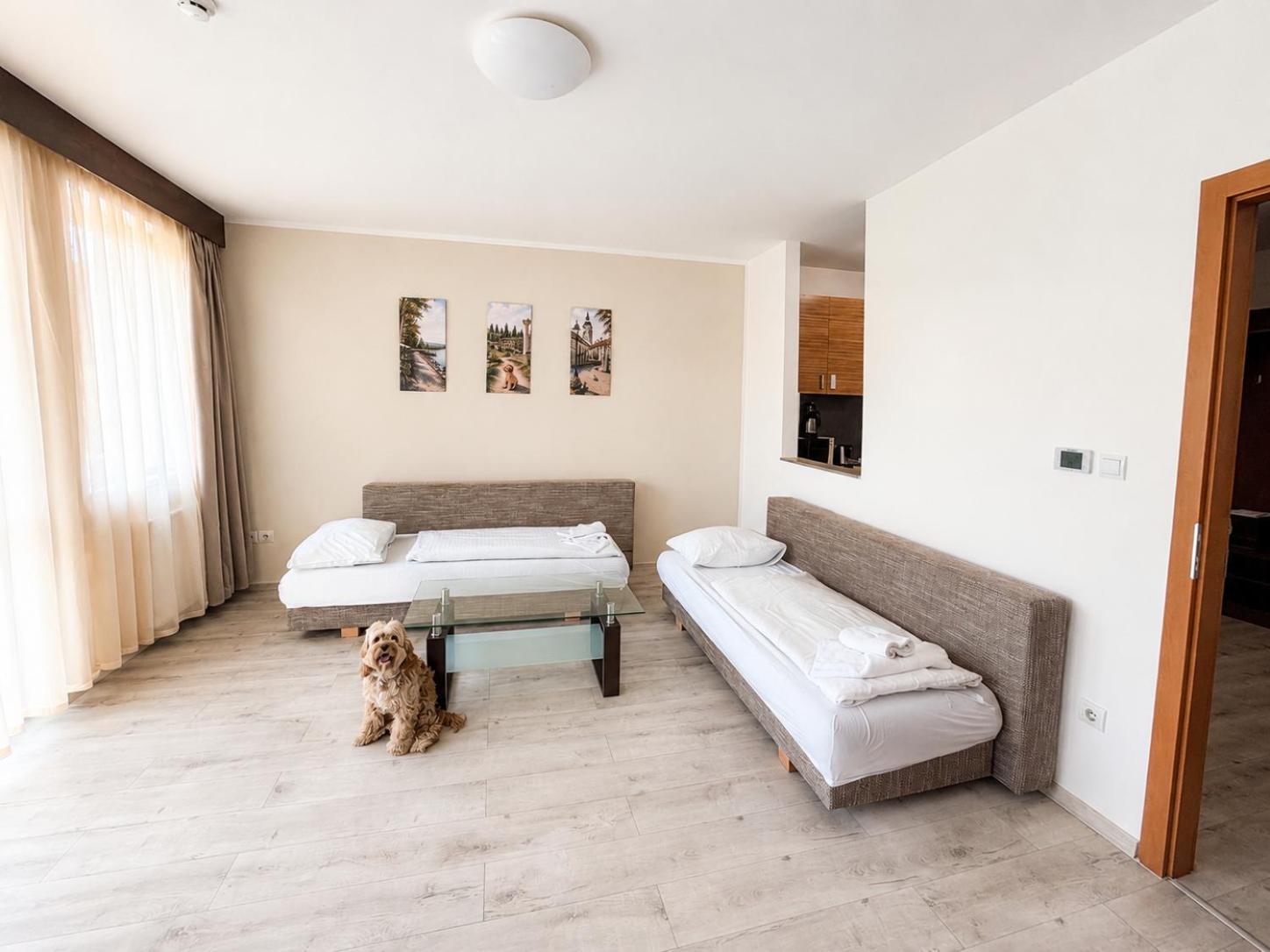 Appartamento Superior con 1 Camera da Letto e Aria Condizionata